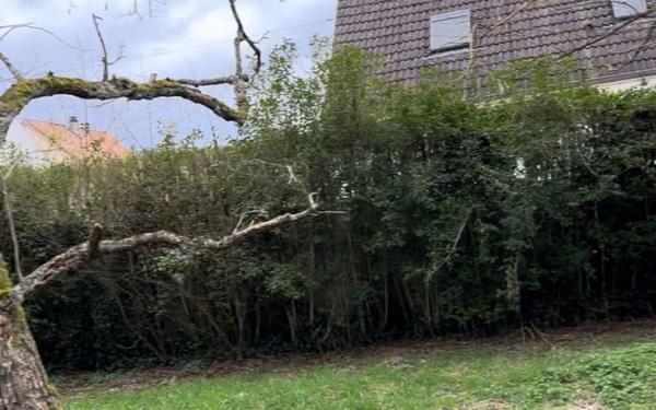 Terrain à vendre    Itteville