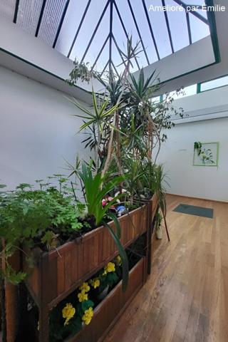 IMMEUBLE AVEC LOCAL COMMERCIAL PLEIN CENTRE