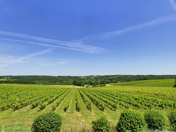 Propriété de caractère avec vue panoramique