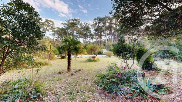 Terrain à vendre  964 m2 ANGLET - 64