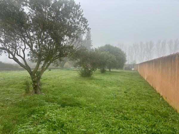 Entraigues-sur-la-Sorgue (84320) Maison 4 pièces 126 m2 sur un terrain de 2500 m2