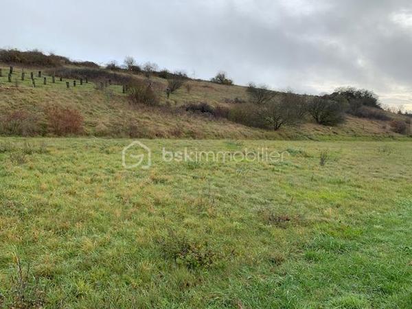 Terrain de 1 784 m²