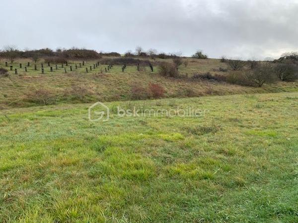 Terrain de 1 784 m²