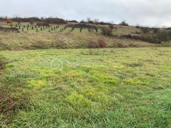 Terrain de 1 784 m²