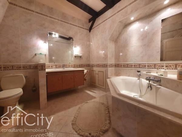 Maison 9 pièces - 321 m² Bien prestige