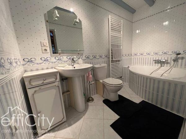 Maison 9 pièces - 321 m² Bien prestige