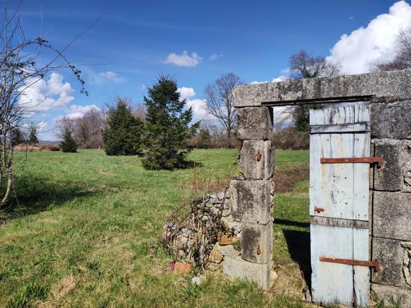 Propriété familiale avec potentiel