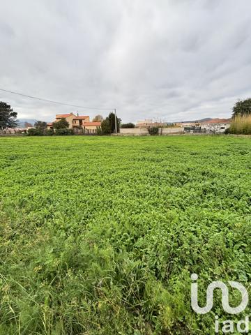 Terrain à vendre 515 m² Ille-sur-Têt