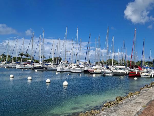 T2 avec jardin à la Marina du Gosier – Emplacement rare & recherché