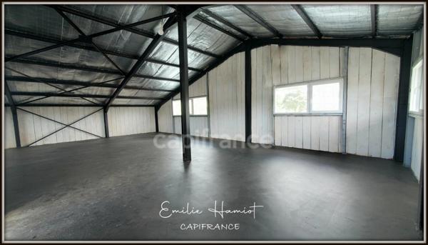 A louer - Local commercial neuf - 130m² - Fort de France - Dillon