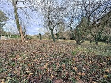 Bien agricole à vendre à La Roche-Neuville en Mayenne (53200), ref : 100165201-2-53088