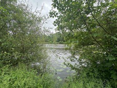 Bien agricole à vendre à La Roche-Neuville en Mayenne (53200), ref : 100165201-2-53088