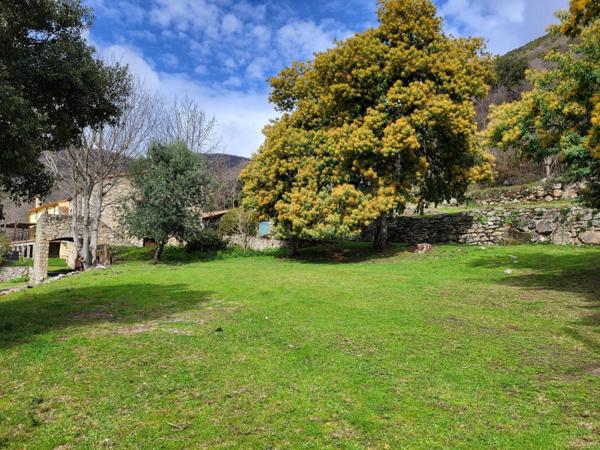 Splendide et spacieuse propriété avec dependances et piscine