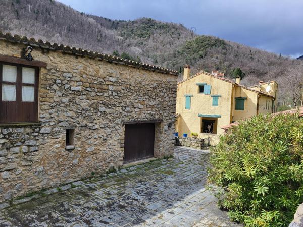 Splendide et spacieuse propriété avec dependances et piscine