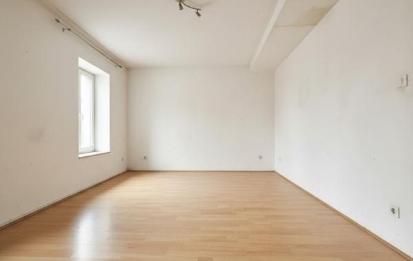 Vente Immeuble à rafraîchir Sainte-livrade-sur-lot   