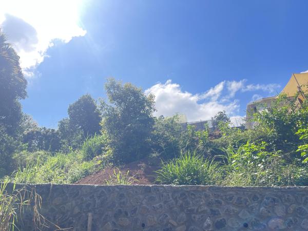 Vente / Terrain constructible