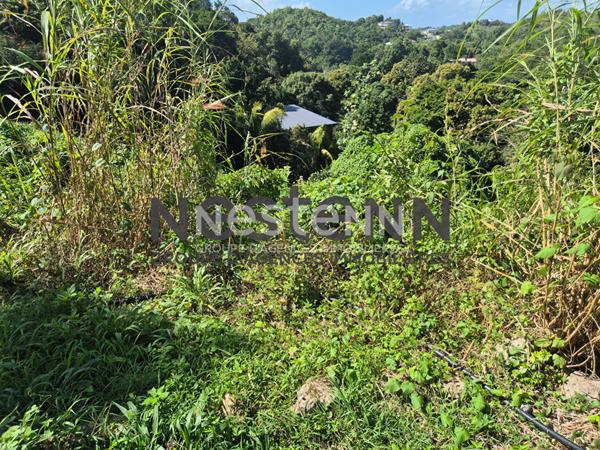 À VENDRE TERRAIN À BATIR de 1800 m2 à Gosier Mathurin