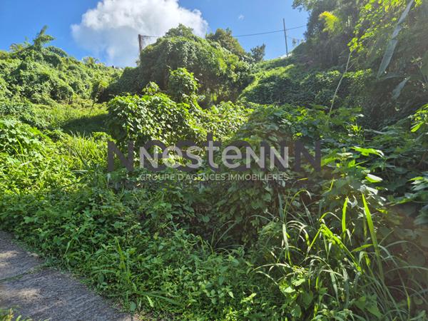 À VENDRE TERRAIN À BATIR de 1800 m2 à Gosier Mathurin