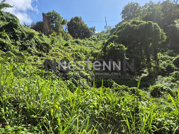À VENDRE TERRAIN À BATIR de 1800 m2 à Gosier Mathurin