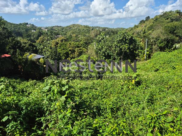 À VENDRE TERRAIN À BATIR de 1800 m2 à Gosier Mathurin