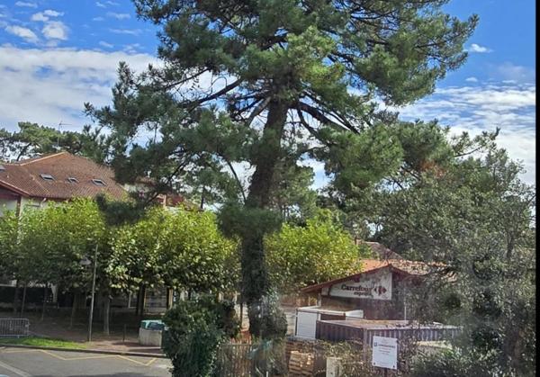 Vente / Appartement