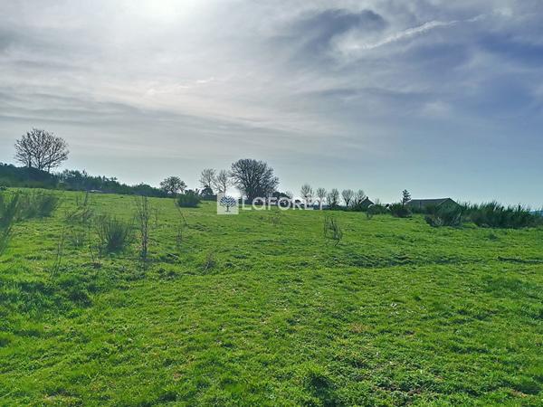 Achat terrain Chaulhac - 3790 m² - 39 000 €