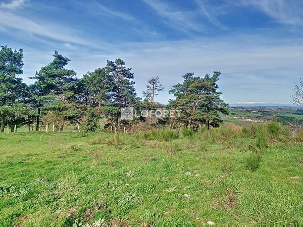 Achat terrain Chaulhac - 3790 m² - 39 000 €