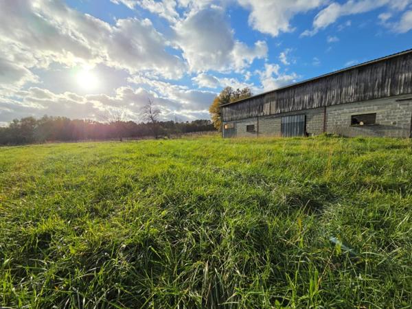 Vaste terrain,grange, hangar