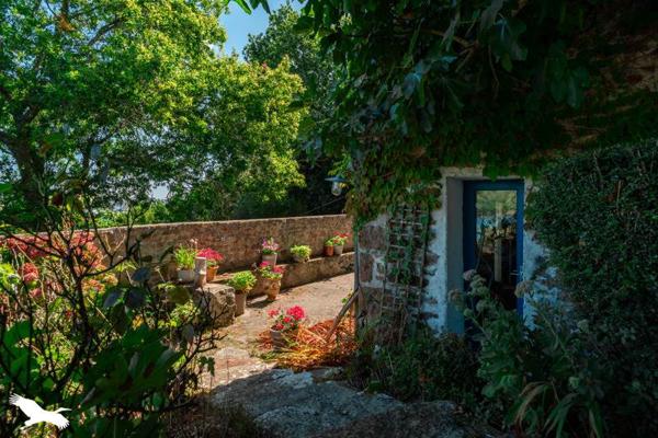 Maison à vendre 399 998 € Audierne 6 p 90 m² DPE E