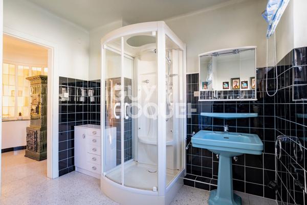 Maison Selestat 10 pièces 312 m2 terrain 11 ares