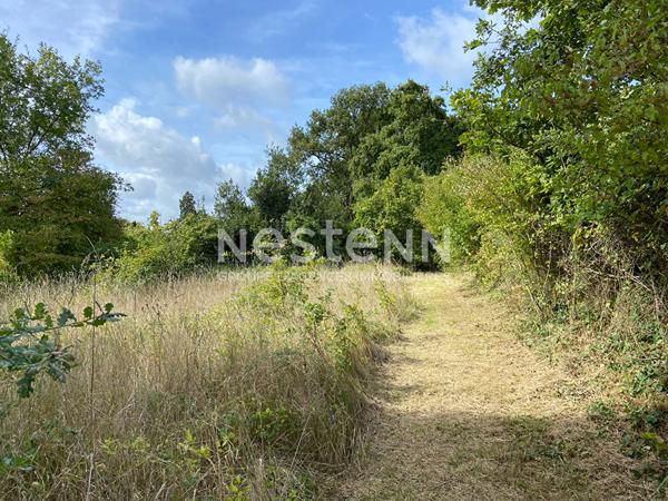 Maison de Maître en pierre à rénover - fort potentiel - Vaas (72)