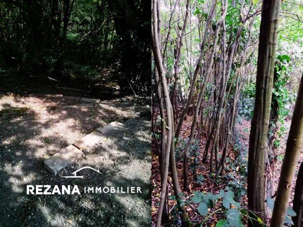 Hameau de Vosves, Maison familiale rénovée 120m² - Terrain 1860m²