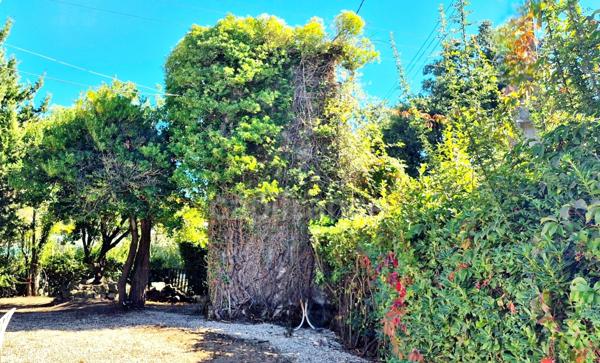 Mas Camargue 170m² – 4 chambres – Terrain 1331m² – Calme