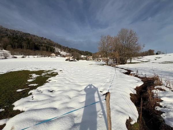 Terrain agricole à acheter – 3 678 m² – Constructibilité agricole – Viabilités à proximité – Habère-Poche (74)