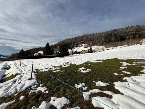 Terrain agricole à acheter – 3 678 m² – Constructibilité agricole – Viabilités à proximité – Habère-Poche (74)