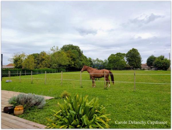 Maison récente 72 m² à Garlin, Terrain à bâtir 2 800 m², Potentiel de division