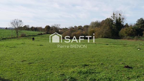 Maison a vendre de 189m2 sur 2.5 hectares de terrain