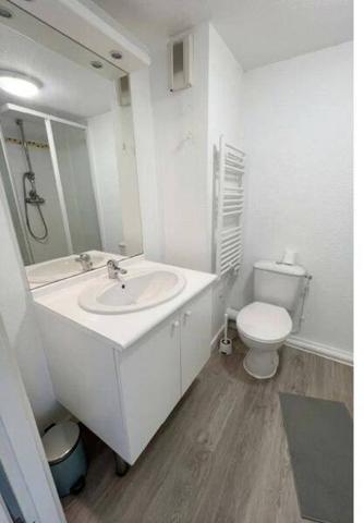 Appartement 1 pièce - 44300 Nantes -  Bourgeonnière-Petit Port
