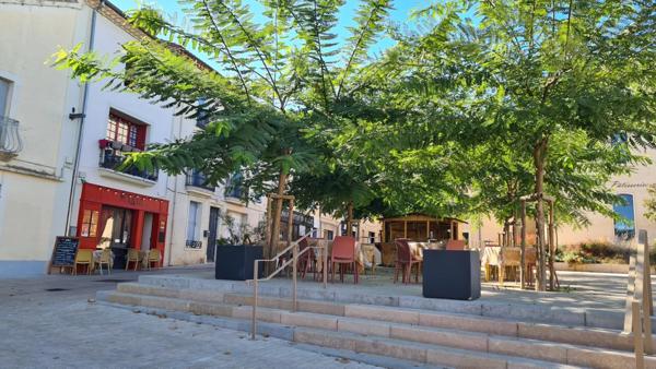 Maison de Maître rénovée – 215 m², Piscine, Garage, Cour et Terrasse