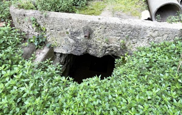 Vente Remise Pouzols-minervois   