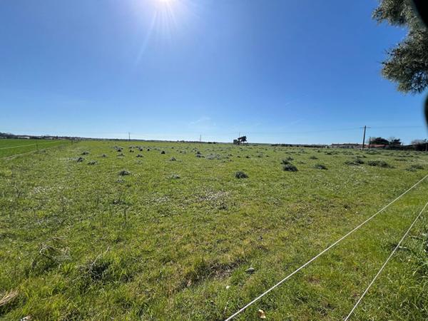 Maison Longeville Sur Mer 5 pièce(s)