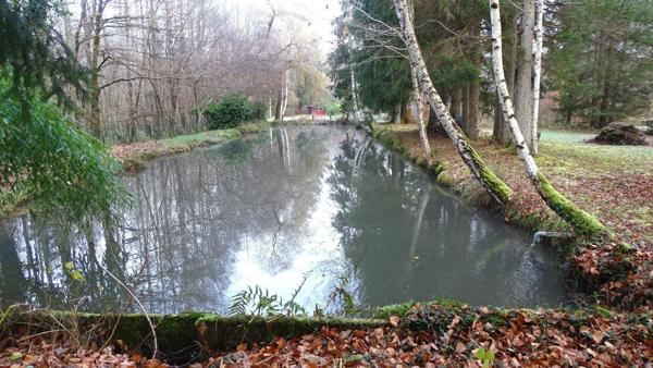 Demeure de charme au coeur de la nature à 2 pas de Center Parcs