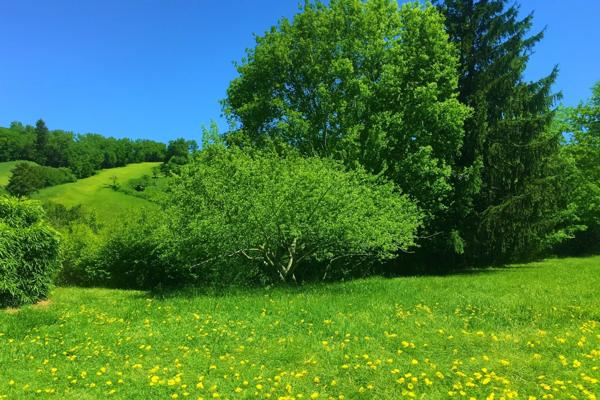 Terrain à vendre proche de FOIX (09)