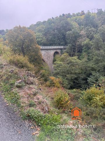 Bien rare : Havre de paix  + revenu locatif