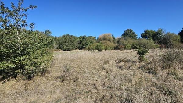 Terrain à vendre 72 345 € Villefranche-sur-Cher 28882 m² DPE