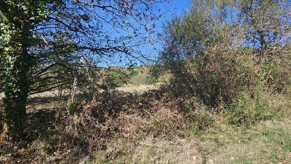Terrain à vendre 72 345 € Villefranche-sur-Cher 28882 m² DPE