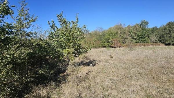 Terrain à vendre 72 345 € Villefranche-sur-Cher 28882 m² DPE