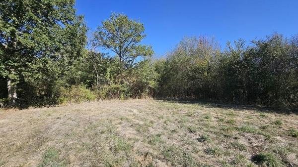 Terrain à vendre 72 345 € Villefranche-sur-Cher 28882 m² DPE
