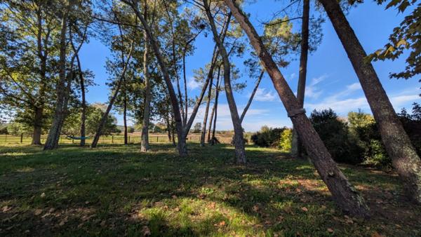 Maison de 266 m2 proche de Casteljaloux