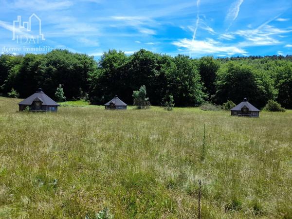 Vente Maison 358 m2 à Sévérac-d'Aveyron